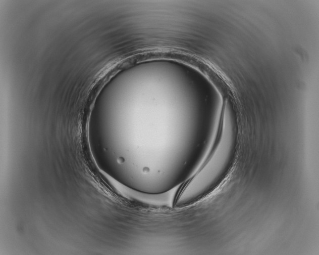 X0000111420969200907131158