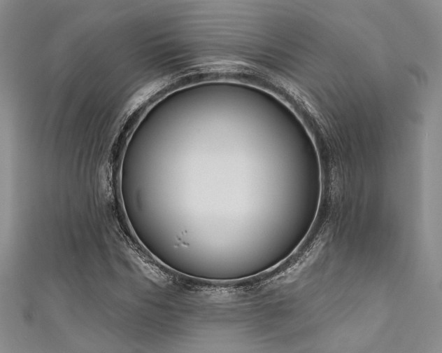 X0000111420970200907131158