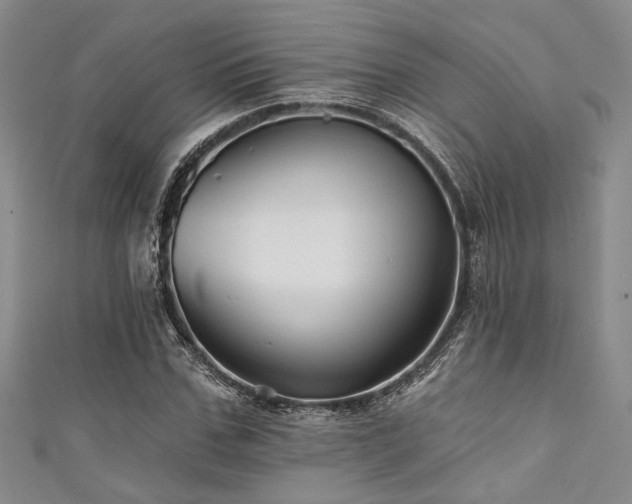 X0000111420971200907131158