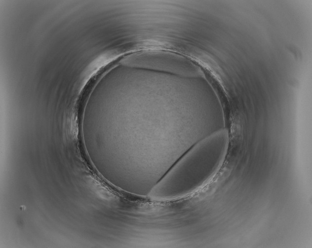 X0000111420973200907131158