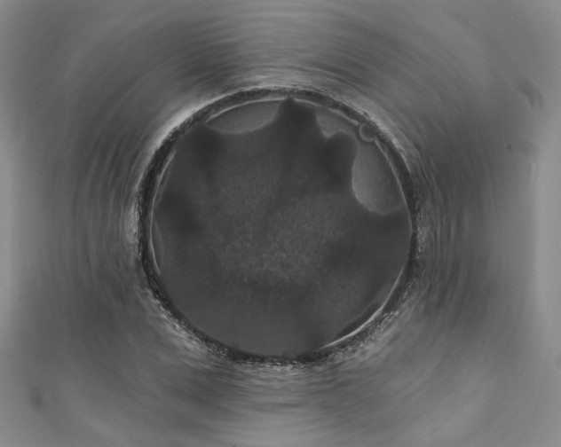 X0000111420975200907131158