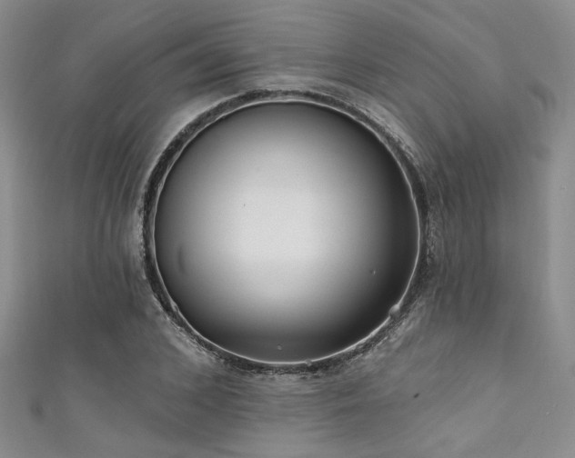 X0000111420976200907131158