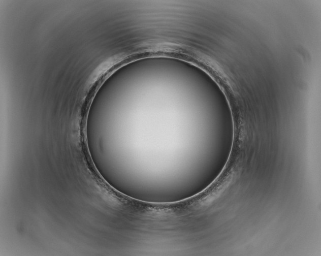 X0000111420978200907131158