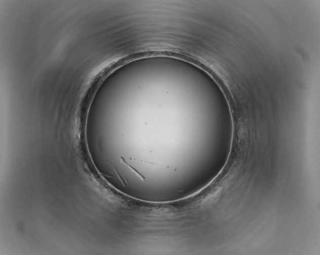 X0000111420979200907131158