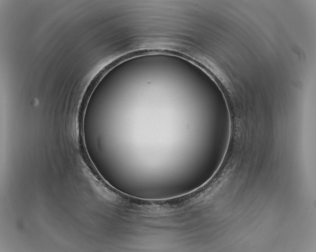 X0000111420980200907131158