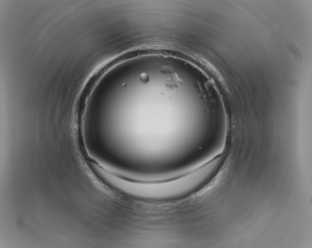 X0000111420981200907131158