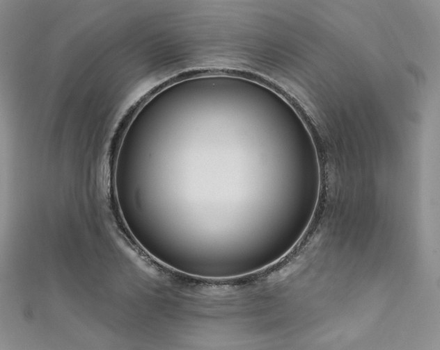 X0000111420982200907131158