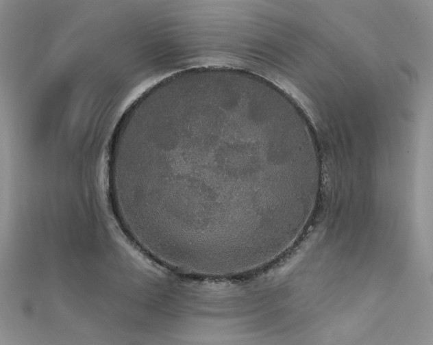 X0000111420983200907131158