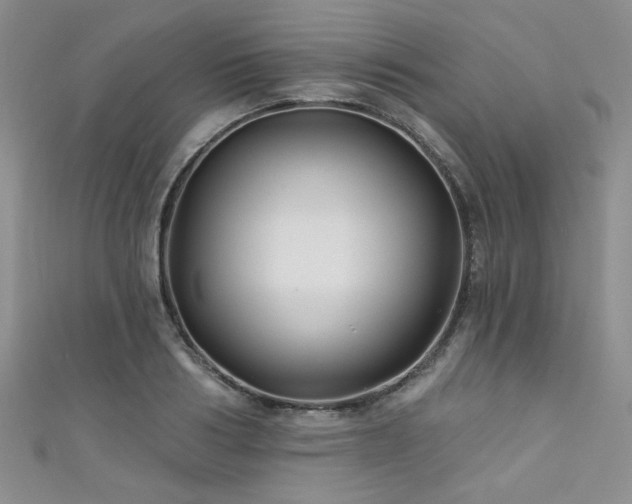 X0000111420986200907131158