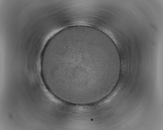 X0000111420987200907131158