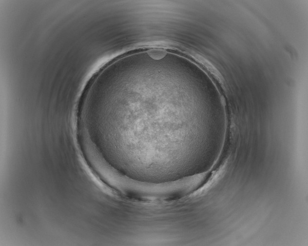 X0000111420989200907131158