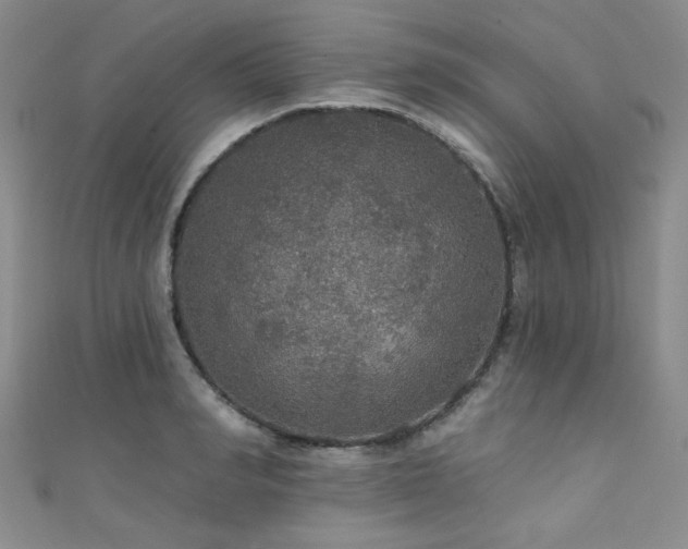 X0000111420990200907131158