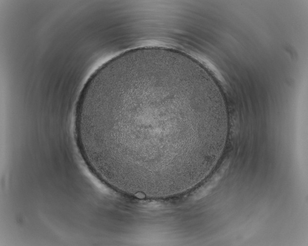 X0000111420991200907131158