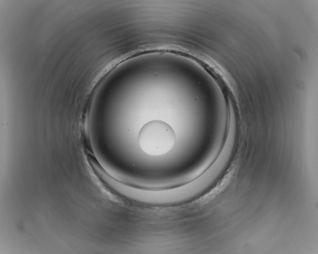 X0000111420993200907131158