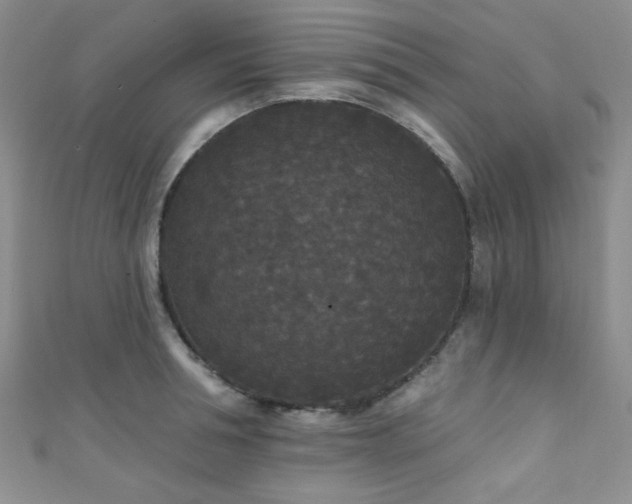 X0000111420994200907131158