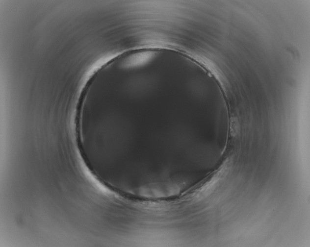 X0000111420995200907131158