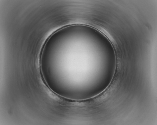 X0000111420996200907131158