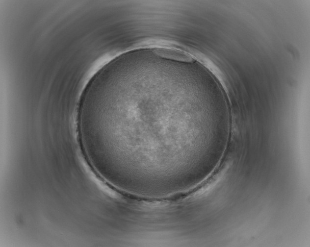 X0000111420997200907131158