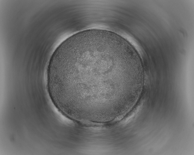 X0000111420999200907131158