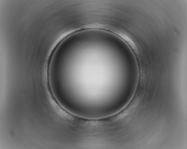 X0000111421000200907131158