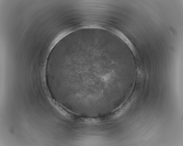 X0000111421002200907131158