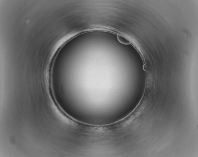 X0000111421003200907131158