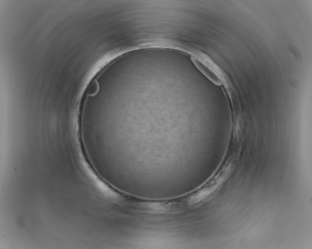 X0000111421005200907131158