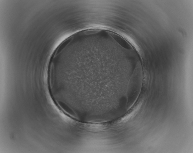 X0000111421007200907131158