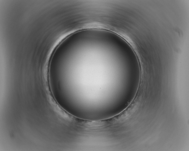 X0000111421008200907131158