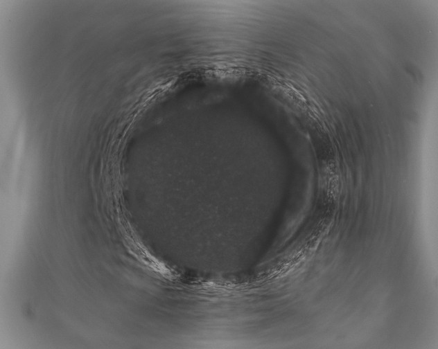 X0000111421009200907131157