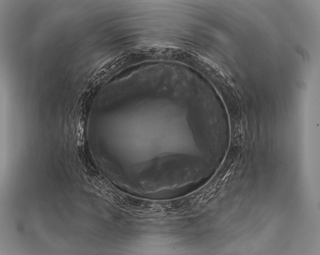 X0000111421013200907131157
