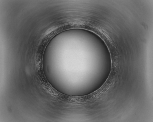 X0000111421015200907131157