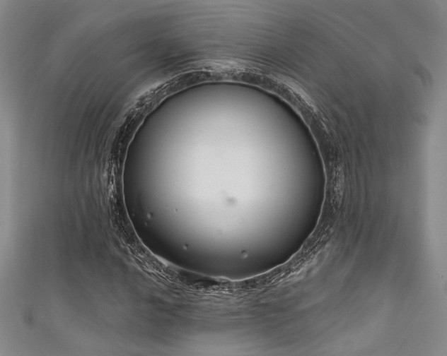 X0000111421016200907131157