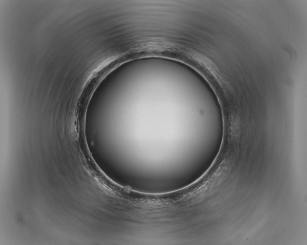 X0000111421018200907131158