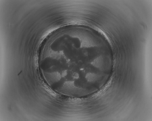 X0000111421019200907131158