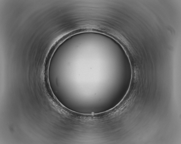 X0000111421020200907131158