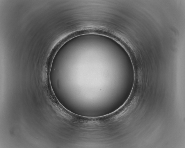 X0000111421021200907131158