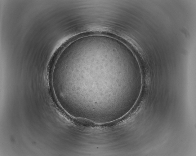 X0000111421022200907131158