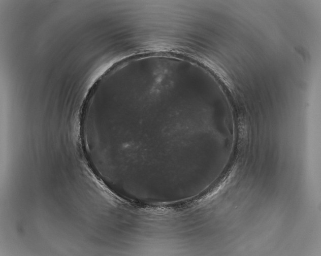 X0000111421023200907131158