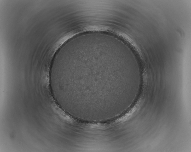 X0000111421025200907131158