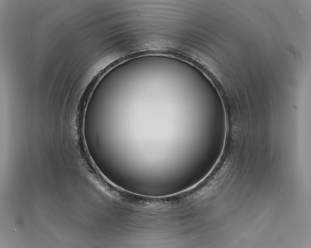 X0000111421026200907131158