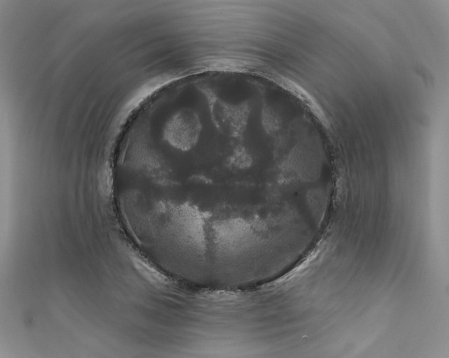 X0000111421027200907131158