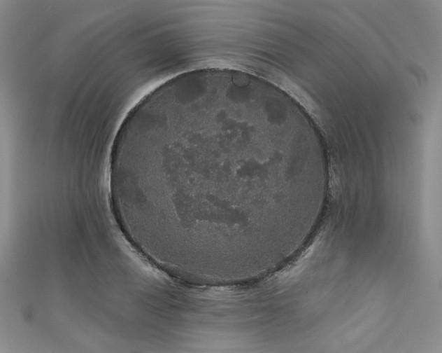 X0000111421028200907131158