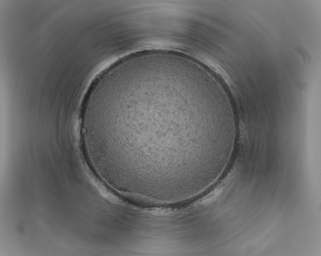 X0000111421029200907131158