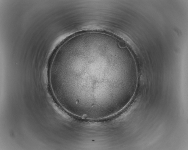 X0000111421030200907131158