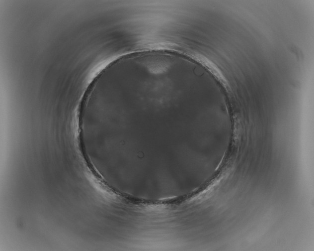 X0000111421031200907131158