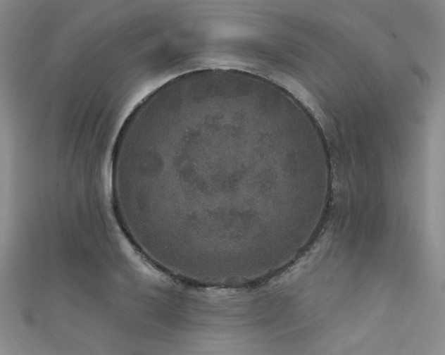 X0000111421032200907131158