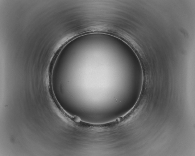 X0000111421034200907131158