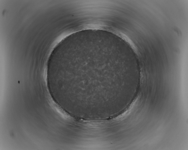 X0000111421035200907131158