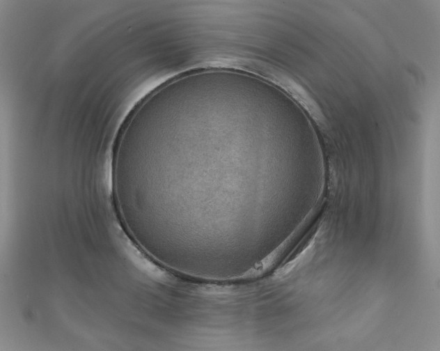 X0000111421036200907131158